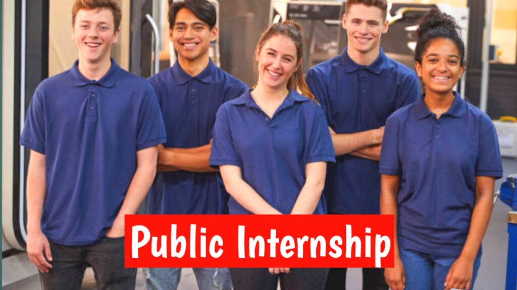 Public Internship