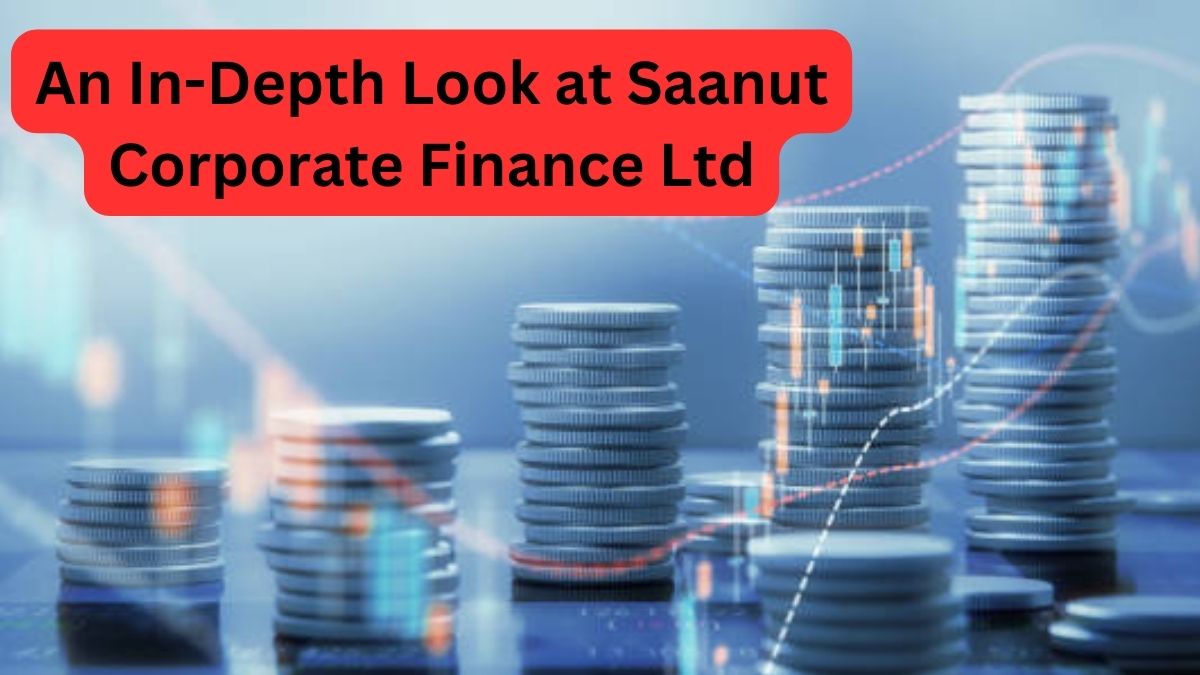 An In-Depth Look at Saanut Corporate Finance Ltd