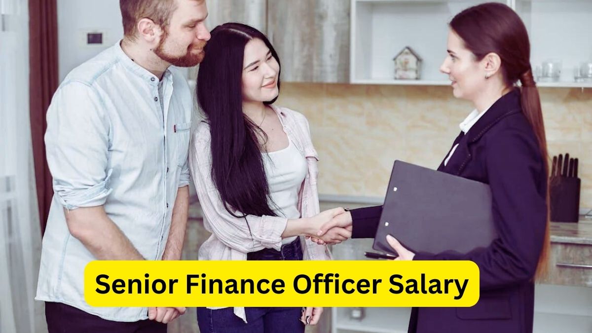 Senior Finance Officer Salary A Comprehensive Guide