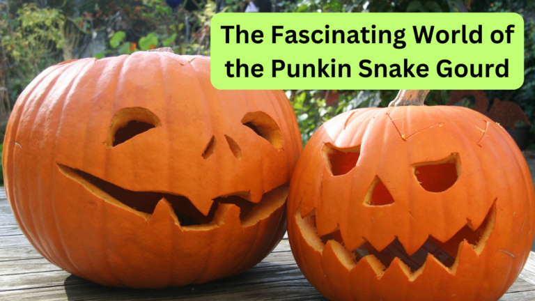 The Fascinating World of the Punkin Snake Gourd