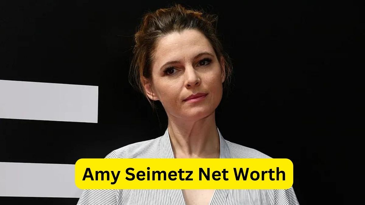 Amy Seimetz Net Worth