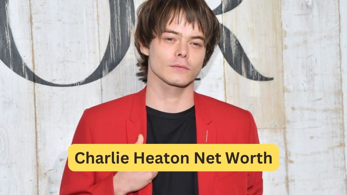 Charlie Heaton Net Worth